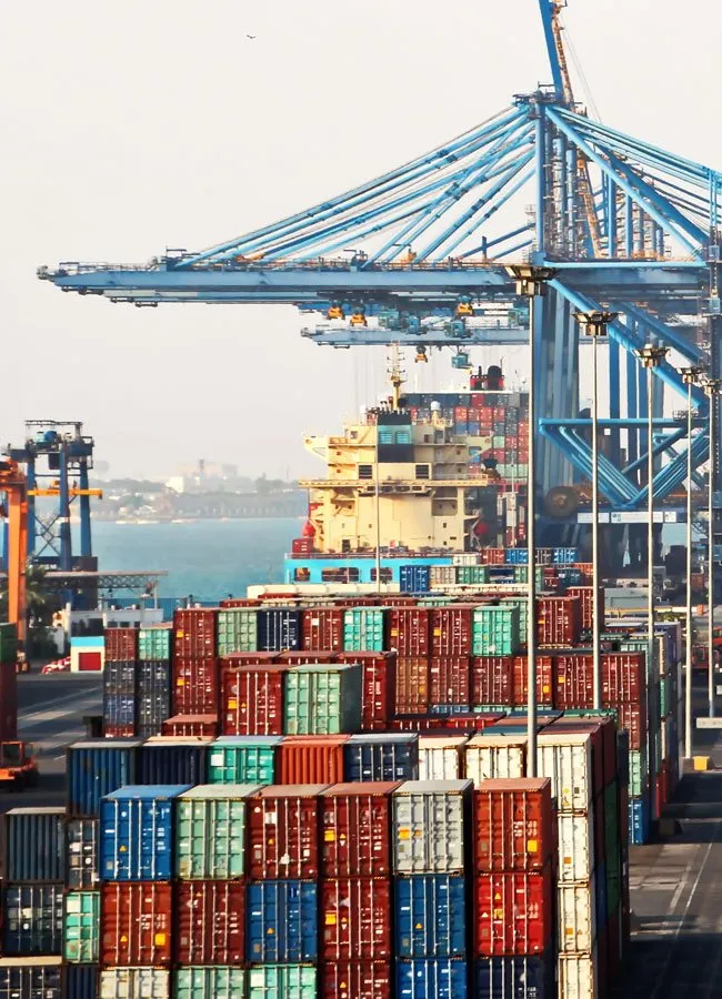 Development of Mega Logistics Hubs 