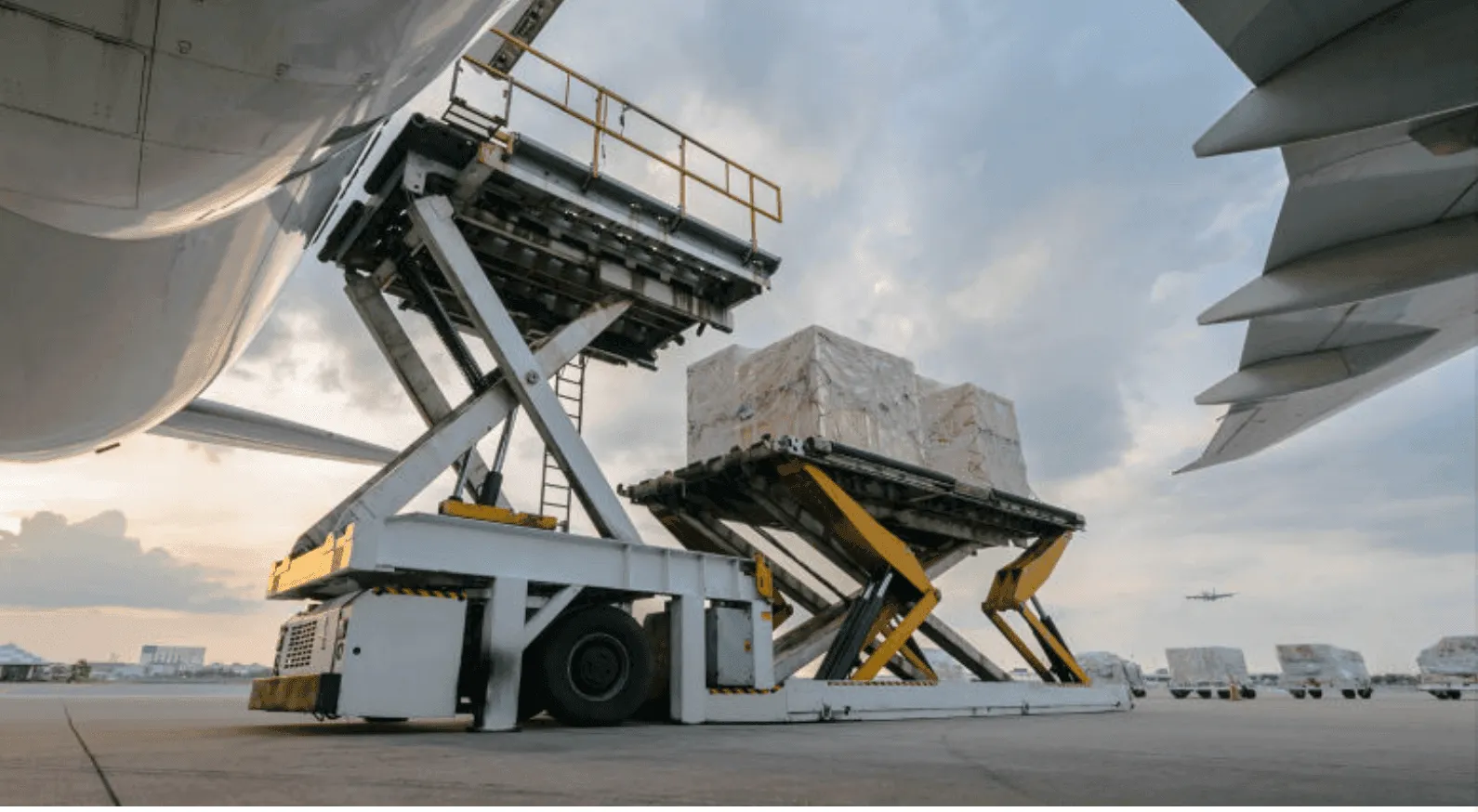 Accompanying Organizations to a New Level of Maturity